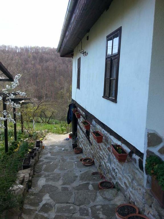 Къща За Гости Ножери ตริยาฟนา ภายนอก รูปภาพ